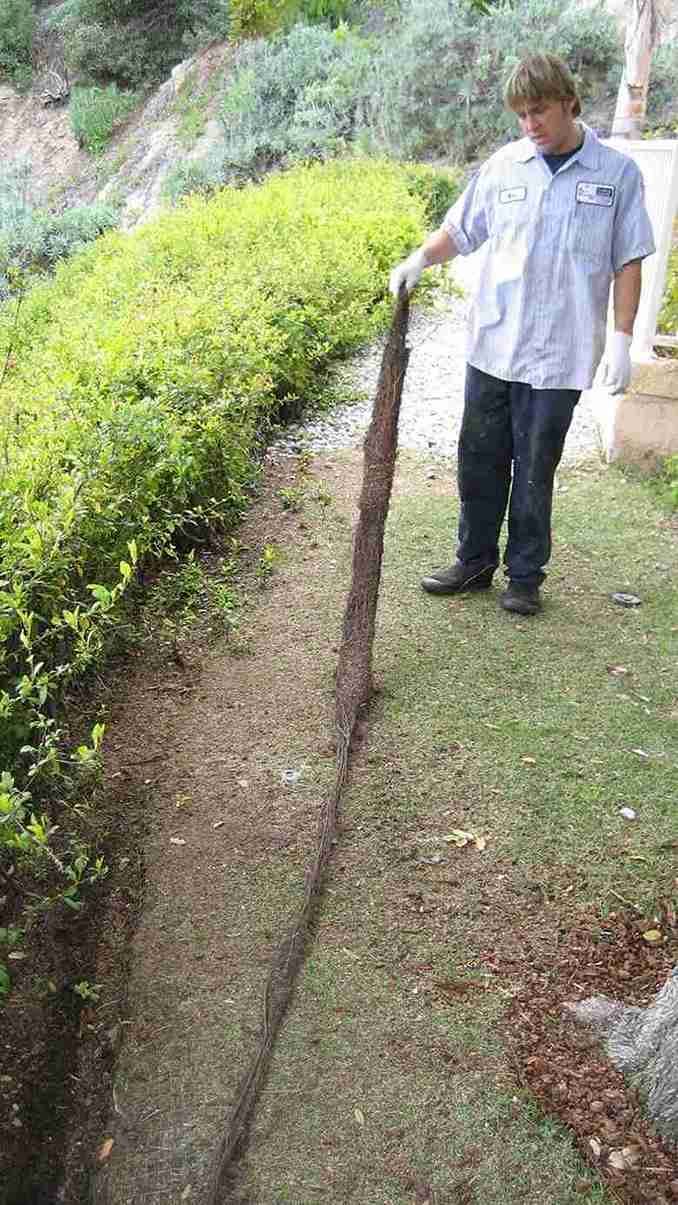 Vertical line repair, second floor